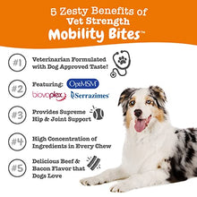 Load image into Gallery viewer, Multifunctional Supplements for Dogs - Glucosamine Chondroitin for Joint Support + Vet Strength Hip & Joint Soft Chews for Dogs - Glucosamine, Chondroitin & MSM