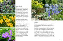 Load image into Gallery viewer, Containers in the Garden