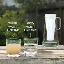 Load image into Gallery viewer, LifeStraw Home Activated Carbon + Ion Exchange Replacement Filters Tested to Protect Against Lead, Mercury, Chlorine, PFAS and a Variety of Chemicals, BPA Free