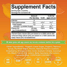 Load image into Gallery viewer, Vitamin D3 Gummies | D3 Vitamin Vegan Plant Based Gummies from Lichen | VIT D3 Gummies Non-GMO, Vegan, Gluten Free | 2 Month Supply