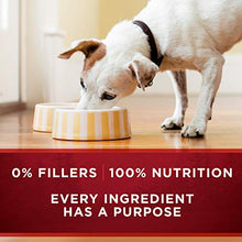 Load image into Gallery viewer, Purina ONE Grain Free, Natural Pate Wet Dog Food, SmartBlend True Instinct With Real Turkey & Venison - (12) 13 oz. Cans