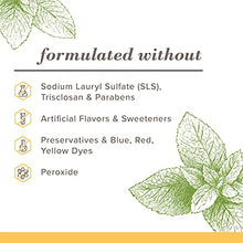 Load image into Gallery viewer, Burt's Bees Toothpaste, Natural Flavor, Fluoride Free Purely White, Zen Peppermint, 4.7oz 3 Count