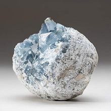 Load image into Gallery viewer, Astro Gallery of Gems Blue Celestite Cluster Geode from Sankoany, Ketsepy Mahajanga, Madagascar (3.5 lbs) - BC60