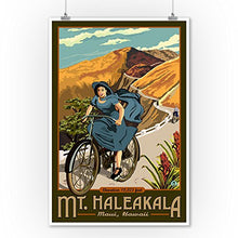 Load image into Gallery viewer, Mount Haleakala, Hawaii - Bicycle (9x12 Art Print, Wall Decor Travel Poster)