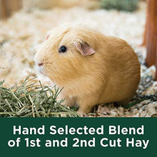 Load image into Gallery viewer, Kaytee All Natural Timothy Hay for Guinea Pigs, Rabbits & Other Small Animals, 12 Pound