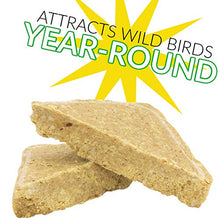 Load image into Gallery viewer, C&S Wild Bird High Energy Suet Treat 56 Ounces, 6 Pack