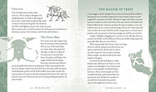 Load image into Gallery viewer, The Witch's Way: A Guide to Modern-Day Spellcraft, Nature Magick, and Divination (Volume 5) (The Modern-Day Witch)