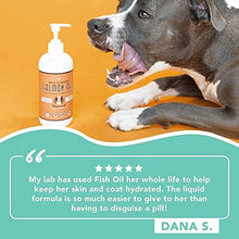 Load image into Gallery viewer, Natural Dog Company Wild Alaskan Salmon Oil for Dogs (16oz) | Skin & Coat Supplement for Dogs | Supports Joint & Heart Health | Boosts Immune System | Liquid Fish Oil with Biotin, Omega 3, & Omega 6