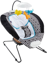Load image into Gallery viewer, Fisher-Price Deluxe Bouncer
