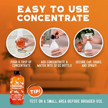Load image into Gallery viewer, ANGRY ORANGE Pet Odor Eliminator for Home - 8oz Dog & Cat Urine Smell Remover - Citrus Concentrate - Makes a Gallon (128 oz)