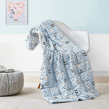 Load image into Gallery viewer, YnM Weighted Blanket — Heavy 100% Oeko-Tex Certified Cotton Material with Premium Glass Beads (Peachy Keen, 60''x80'' 20lbs), Suit for One Person(~190lb) Use on Queen/King Bed