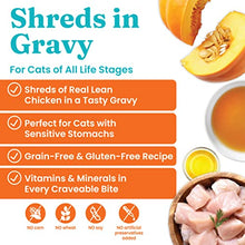 Load image into Gallery viewer, Solid Gold Canned Cat Food - Nature's Harmony Wet Cat Food Shreds in Gravy - Grain & Gluten Free Cat Wet Food Made with Real Chicken & Pumpkin for Sensitive Stomach Support & Digestive Health -24 Pack