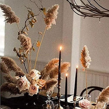 Load image into Gallery viewer, Dried Pampas Grass Decor - 40 Pcs Natural Pompas Floral/ Dried Pompous Grass Boho Plant for Flower Arrangements Wedding Home Decor(30 Pcs Brown Pampas Grass & 10 Pcs Beige Pampas Grass)