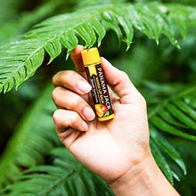 Load image into Gallery viewer, Panama Jack Sunscreen Lip Balm - SPF 45, Flavor Pack, Broad Spectrum UVA-UVB Sunscreen Protection, Prevents & Soothes Dry, Chapped Lips