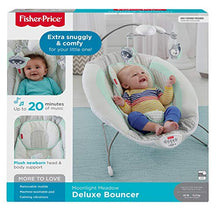Load image into Gallery viewer, Fisher-Price Moonlight Meadow Deluxe Bouncer