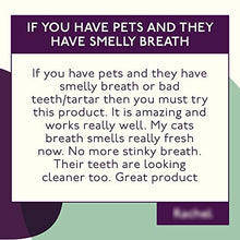 Load image into Gallery viewer, Petlab Co. Cat Dental Formula | Cat Water Solution Dental Care Targets Plaque & Tartar | Maintains Clean Teeth & Supports Gum Health & Fresh Breath