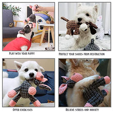 Load image into Gallery viewer, Zagrine Squeaky Plush Dog Toys Pack for Puppy, 3 Pack Durable Stuffed Animal Plush Chew Toys with Squeakers, Cute Soft Dog Toys for Teeth Cleaning, for Small Medium Dogs