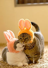 Load image into Gallery viewer, Kitan Club Cat Cap - Pet Hat Blind Box Includes 1 of 5 Cute Styles - Soft, Comfortable - Authentic Japanese Kawaii Design - Animal-Safe Materials, Premium Quality (Rabbit)