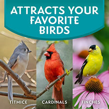 Load image into Gallery viewer, Morning Song 11959 Clean & Free Shell Free Wild Food Premium No Mess Bird Seed for Outside Feeders, 10 lb