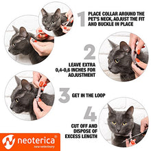 Load image into Gallery viewer, Rolf Club 3D Flea & Worm Collar for Cats and Small Dogs - Flea Control and Tick Treatment - Better Than Oral Flea Control - Cat Worm Prevention for Tapeworms