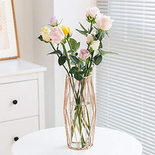 Load image into Gallery viewer, Gelible Geometric Glass Flower Vase with Metal Holder, Crystal Clear Transparent Planter Flowers Vase,Handcrafted Plating Metal Vase,Clear Vase Decor Home Office Wedding Party and Holiday Celebrate