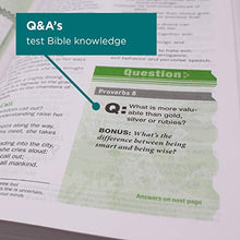Load image into Gallery viewer, NIV, Teen Study Bible, Compact, Leathersoft, Brown