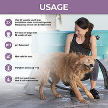 Load image into Gallery viewer, Veterinary Formula Clinical Care Antiparasitic & Antiseborrheic Medicated Dog Shampoo, 16 oz – Paraben, Dye, Soap Free – Hydrating and Antifungal Shampoo for Dogs, White