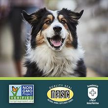 Load image into Gallery viewer, EverRoot Immunity Dog Supplement by Purina, Immunity Chewable Tablet with Spirulina & Antioxidants for Dogs - 3.6 oz. Canister