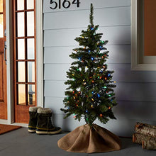 Load image into Gallery viewer, SYLVANIA LED Mini Christmas Lights, Multi
