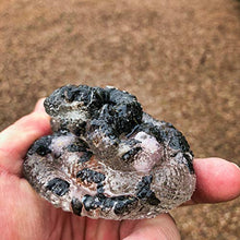Load image into Gallery viewer, Morganite, Hypersthene, Danburite and Clear Quartz Orgone and Crystal Intuition Snake #8-56