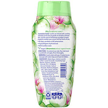 Load image into Gallery viewer, Vagisil Scentsitive Scents Daily Intimate Feminine Wash for Women - Cucumber Magnolia, Gynecologist Tested, Fresh and gentle on skin, 12 Ounce, Pack of 3