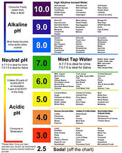 Load image into Gallery viewer, pH Test Strips for Testing Alkaline and Acid Levels in The Body. Track & Monitor Your pH Level Using Saliva and Urine. Get Highly Accurate Results in Seconds.