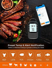 Load image into Gallery viewer, Govee Outdoor Ground Lights Bundle with Govee 169ft Bluetooth Meat Thermometer for Outdoor