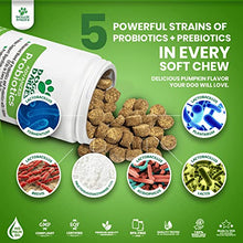 Load image into Gallery viewer, Doggie Dailies Probiotics for Dogs, 225 Soft Chews, Advanced Dog Probiotics with Prebiotics, Promotes Digestive Health, Supports Immune System and Overall Health (Pumpkin)