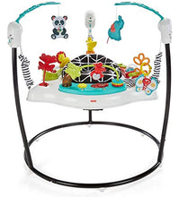Load image into Gallery viewer, Fisher-Price Animal Wonders Jumperoo, White