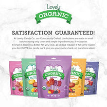 Load image into Gallery viewer, ORGANIC Lollipops - Lovely Co. 7oz Bag (40 count) - Strawberry, Pomegranate, Mango & Grape Flavors | NO HFCS, GLUTEN or Fake Ingredients, 100% VEGAN & Kosher!