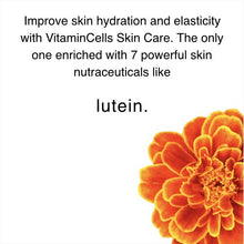 Load image into Gallery viewer, Ecco Bella Natural Toner Mist-On Facial Toner