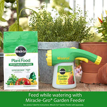 Load image into Gallery viewer, Miracle-Gro Water Soluble Plant Food Vegetables & Herbs 2 lb