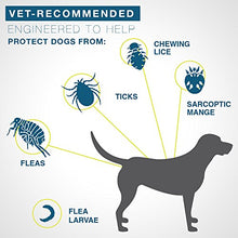 Load image into Gallery viewer, Seresto Flea and Tick Collar for Dogs, 8-Month Flea and Tick Collar for Large Dogs 2 Pack, Over 18 Pounds