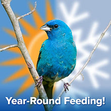 Load image into Gallery viewer, Blue Seal Premium Songbird Treat Wild Bird Bar - Variety 6 Pack