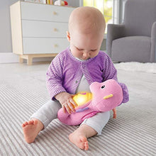 Load image into Gallery viewer, Fisher-Price On-the-Go Baby Dome, Soothe & Glow Seahorse, Pink