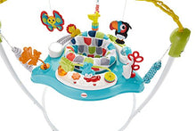Load image into Gallery viewer, Fisher-Price Color Climbers Jumperoo