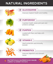 Load image into Gallery viewer, PetHonesty 10 in 1 Dog Multivitamin with Glucosamine - Essential Dog Vitamins with Glucosamine Chondroitin, Probiotics and Omega Fish Oil for Dogs Overall Health - (Chicken)