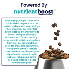 Load image into Gallery viewer, Solid Gold NutrientBoost Katz N Flocken - Dry Cat Food with Lamb, Rice & Pearled Barley - Digestive Probiotics for Cats - Gut Health & Immune Support - Grain Free - Superfood & Antioxidant Support