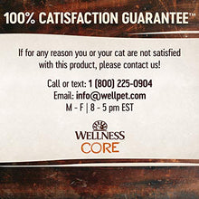 Load image into Gallery viewer, Wellness CORE Tiny Tasters Wet Cat Food, Complete & Balanced Natural Pet Food, Made with Real Meat, 1.75-Ounce Pouch, 12 Pack (Adult Cat, Chicken Pate)