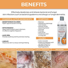 Load image into Gallery viewer, Veterinary Formula Clinical Care Antiseptic and Antifungal Shampoo for Dogs and Cats, 16 oz – Medicated Shampoo to Relieve, Heal and Soothe Fungal and Bacterial Skin Infections, White (FG01320)