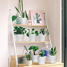 Load image into Gallery viewer, HOMENOTE Plant Pots, Set of 15 Plastic Planters with Multiple Drainage Holes and Tray 6 inch Indoor Plant Pot for All Home Garden Flowers Succulents (White)