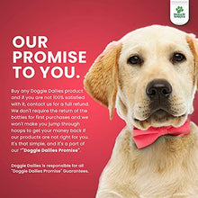 Load image into Gallery viewer, Doggie Dailies Bundle - 5-in-1 Multivitamin & Salmon Oil for Dogs