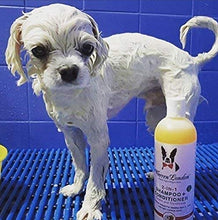 Load image into Gallery viewer, Warren London 2in1 Pet Shampoo and Conditioner for Dogs, Puppys, & Cats | Best Dog Shampoo and Conditioner for Dry Itchy Skin | Dandruff Shampoo for Dogs | Made in USA | 17oz