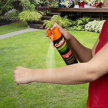 Load image into Gallery viewer, Cutter Backwoods Insect Repellent, Aerosol, 2/11-Ounce